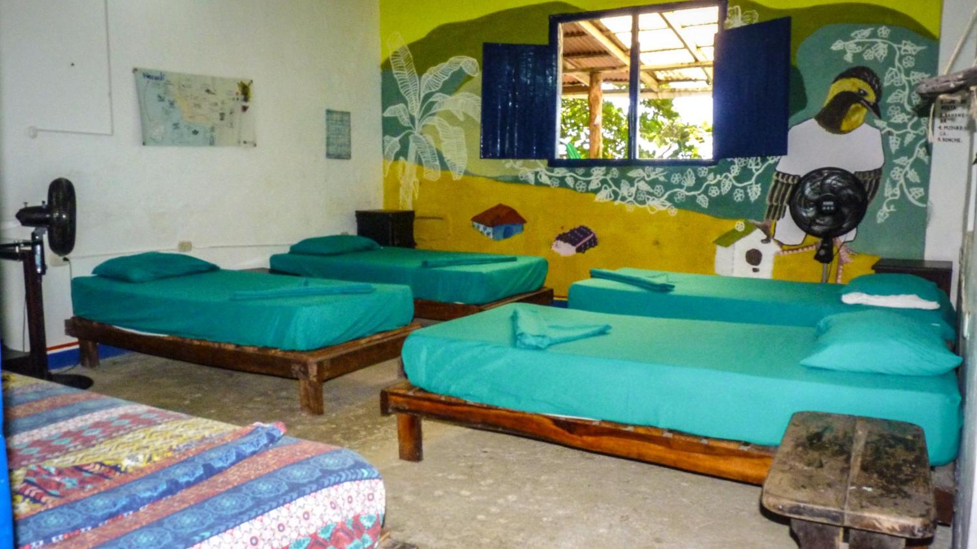 Hostal La Mariapolis Necocli Ngoại thất bức ảnh